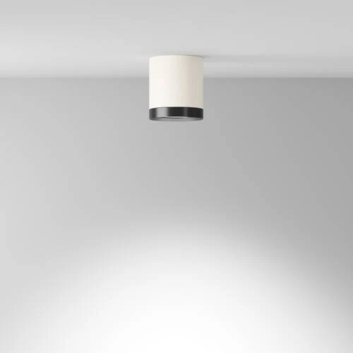 Потолочный светильник Ceiling Hoop, 1xGX53 Бело-черный (Maytoni Technical, C086CM-GX53-MRD-WB) - Amppa.ru